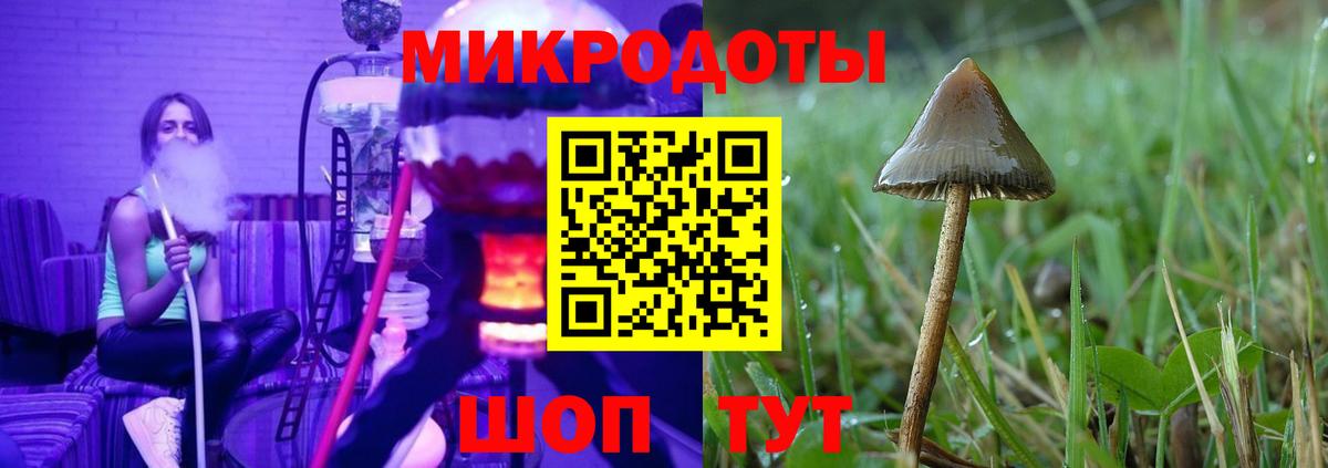 Псилоцибиновые грибы мухоморы Кунгур