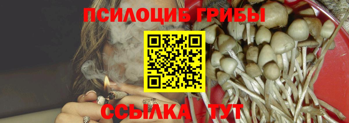 Кунгур  Псилоцибиновые грибы мицелий  Вход с VPN  Галлюциногенные грибы прущие грибы 